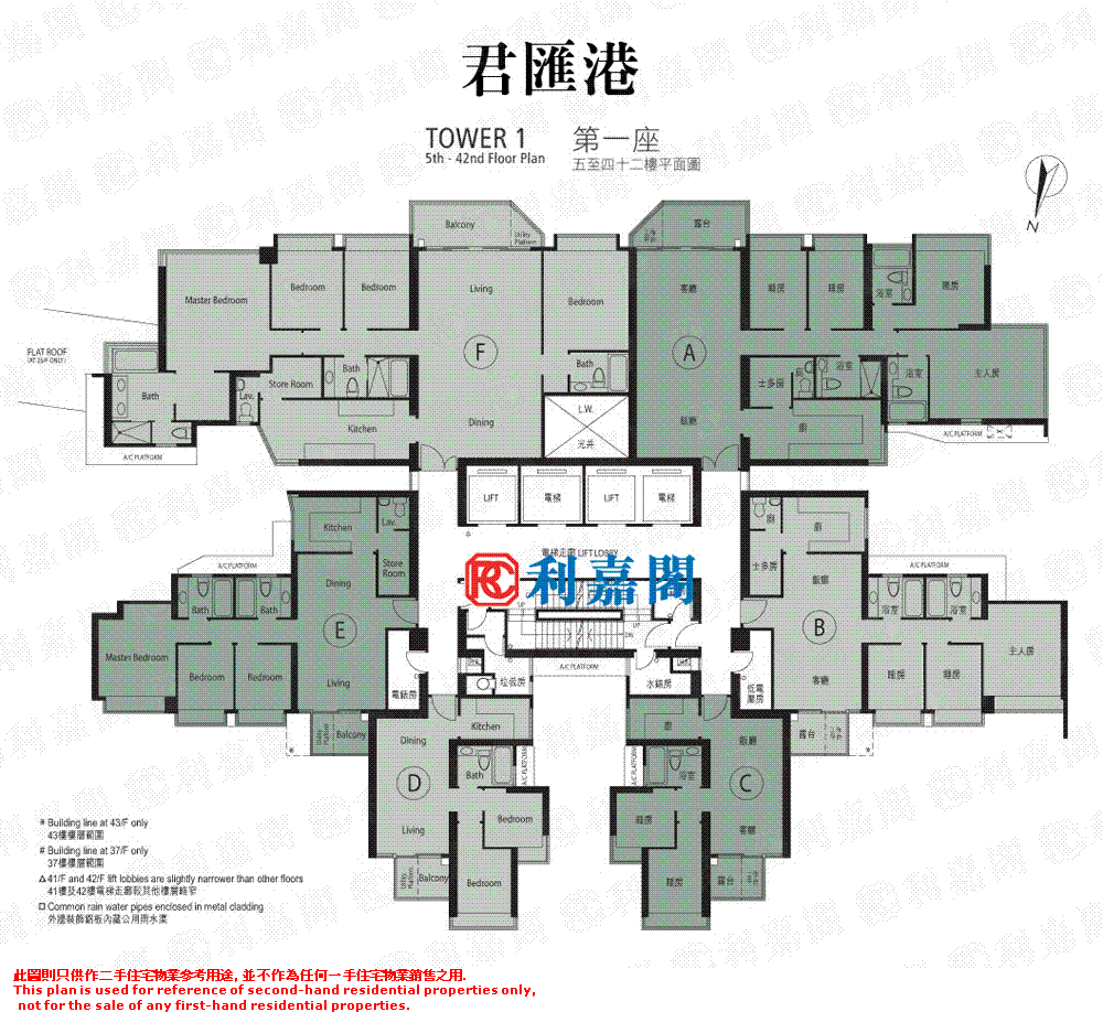 Ricadata HARBOUR GREEN